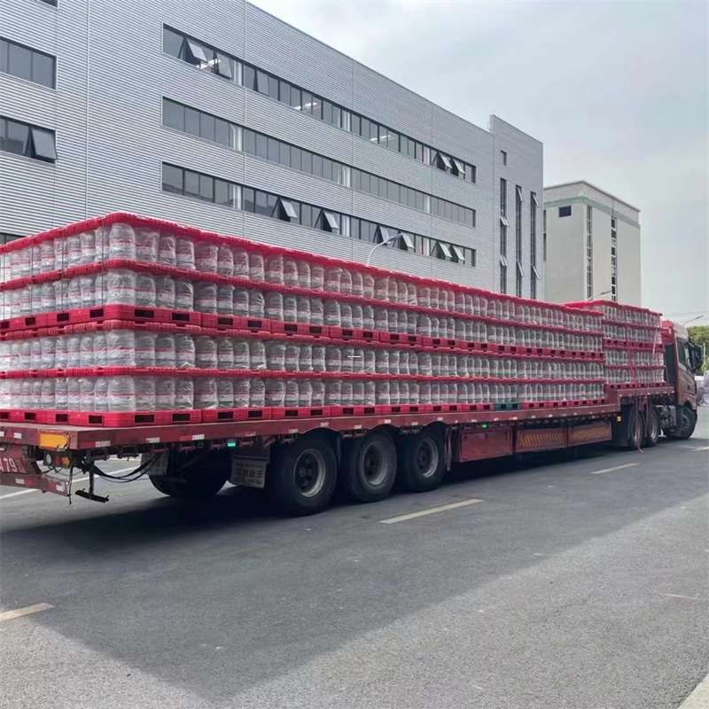 西区枫木镇：物流专线的多维运输画卷