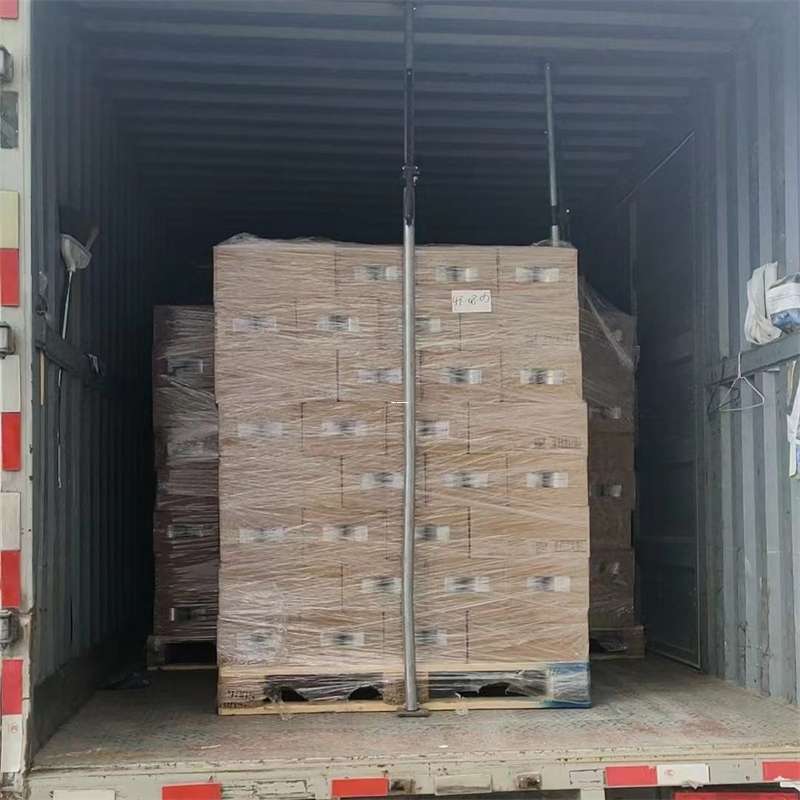 西区东路镇物流：多元运输服务与线路探秘