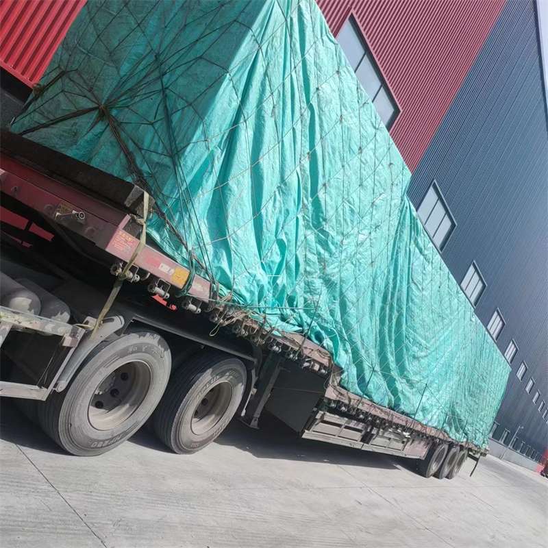 西区钦州市物流运输：多元服务与高效线路探索