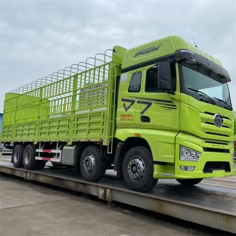 西区东兴市物流：多元服务与高效运输线路探秘