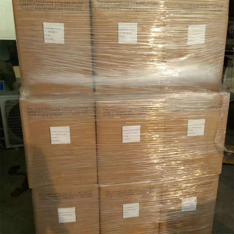 西区临桂区物流：多元服务与高效运输线路探秘