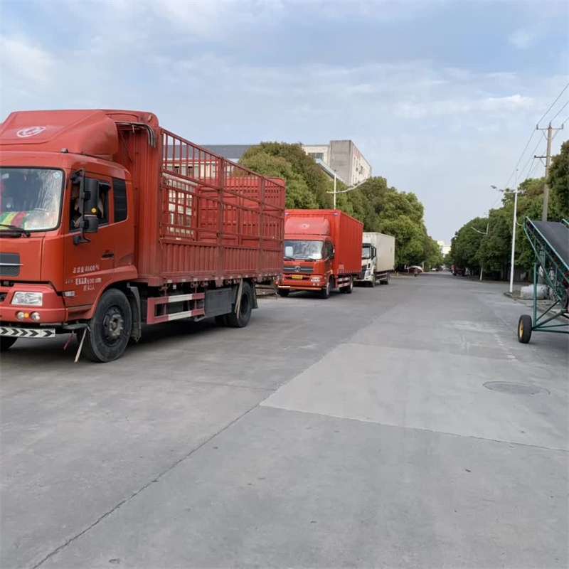 西区大埔县物流：多元服务与高效运输探索