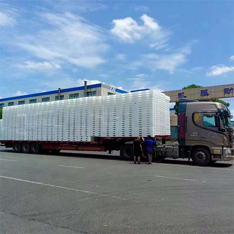 西区黄埔区物流：多元服务与高效运输线路探秘