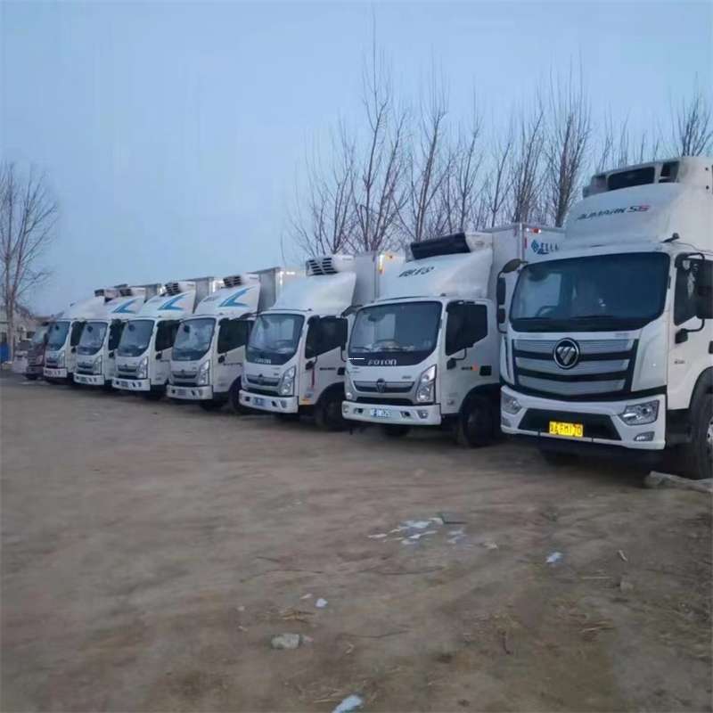 西区通道县物流：多元服务与高效运输探秘