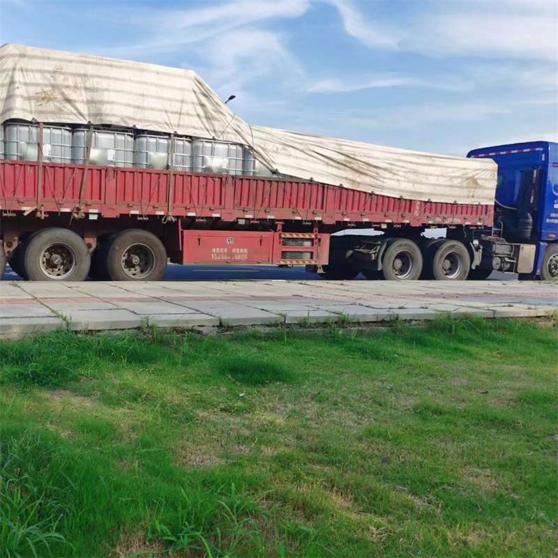 西区枣阳市物流运输：多元服务与高效线路探秘