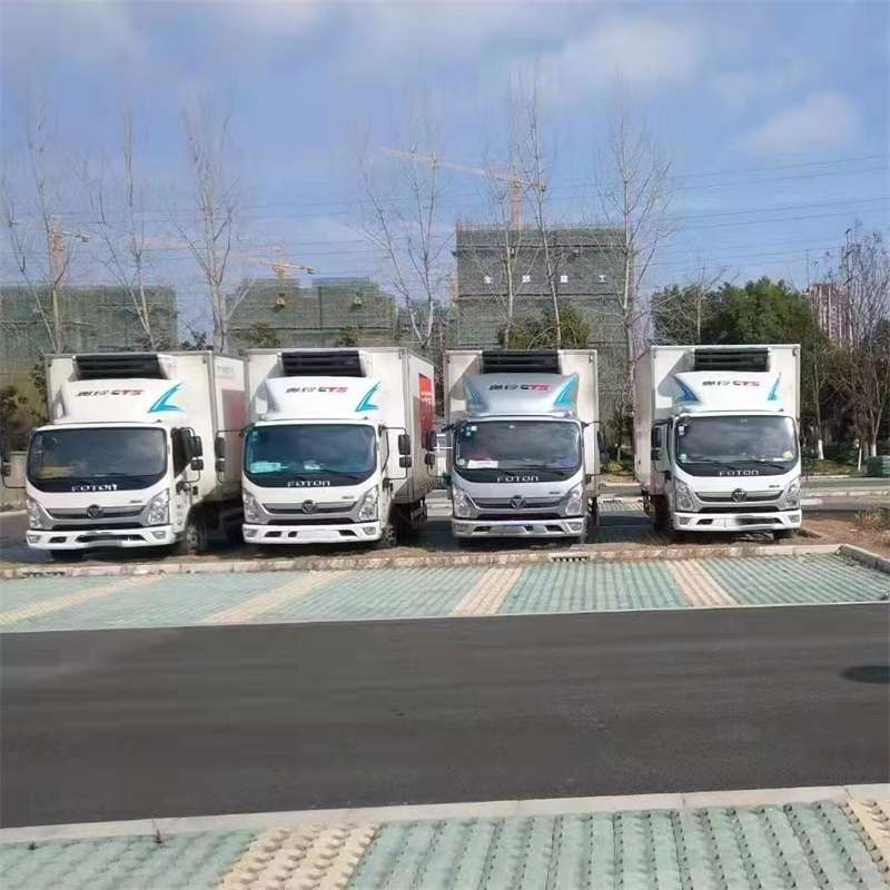 西区新蔡县物流：多元专线与高效运输探索