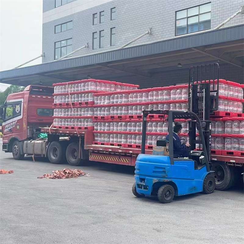 西区延平区物流：多元运输服务的魅力探索