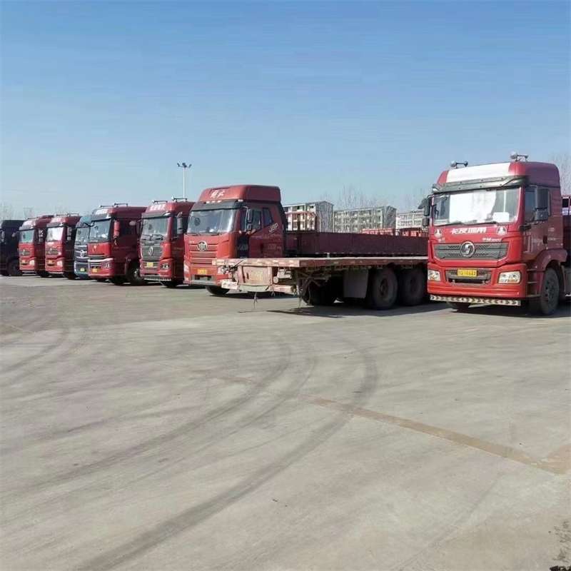 西区城厢区物流：多元服务构建运输新生态