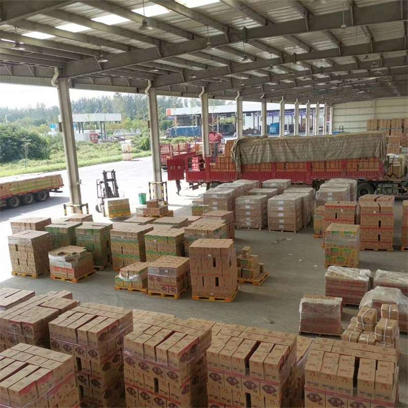 西区泉州市物流：多元运输服务与精彩线路探索