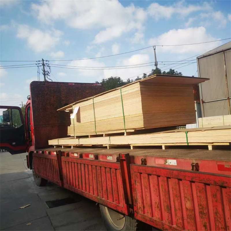 西区通化市物流运输：多元服务与高效线路探秘