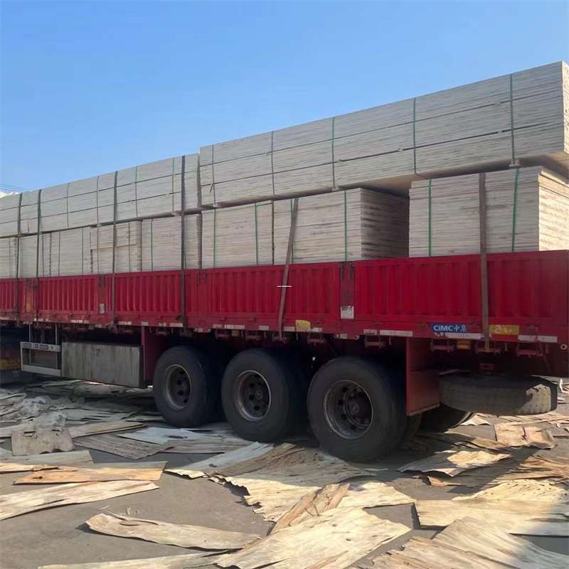 西区忻府区物流：多元服务与高效运输线路探秘