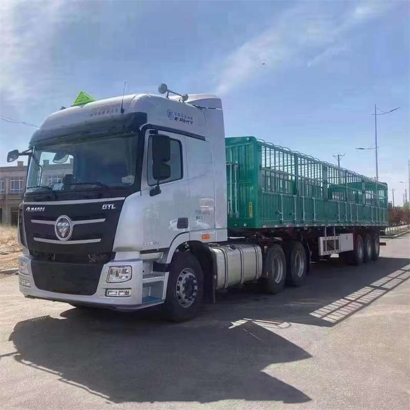 西区武威物流：专线直达的多元货运服务