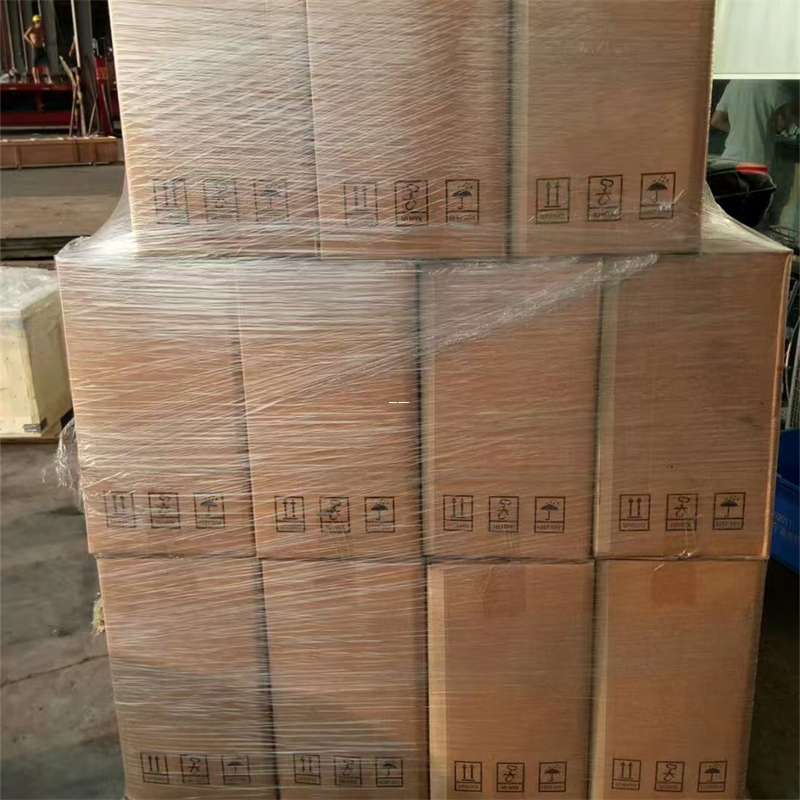 西区探索多元物流模式：从进仓到出口的运输之旅