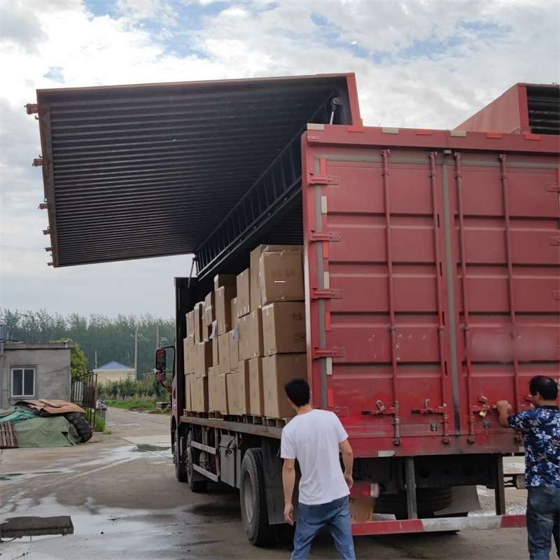 西区扎囊县：物流专线的高效货运之旅