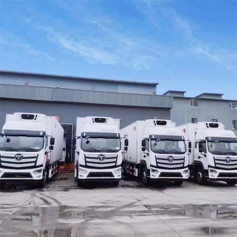 西区新龙县进仓物流：多元专线直达运输探秘